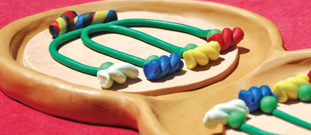 Support Science Learning with Clay Animation